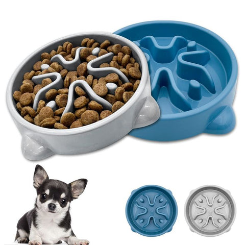 Slow Dog Feeder Medium/Mini Blue