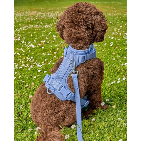 Fur Baby Buddies Small / Silver Pet Collars & Harnesses Precious Gia Dog Harness Sizes Small to Medium