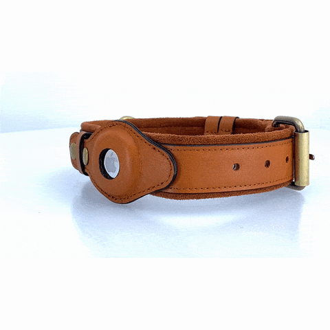 Leather AirTag Dog Collar