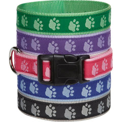 Two-Tone Paw Print Collar For Small Dogs