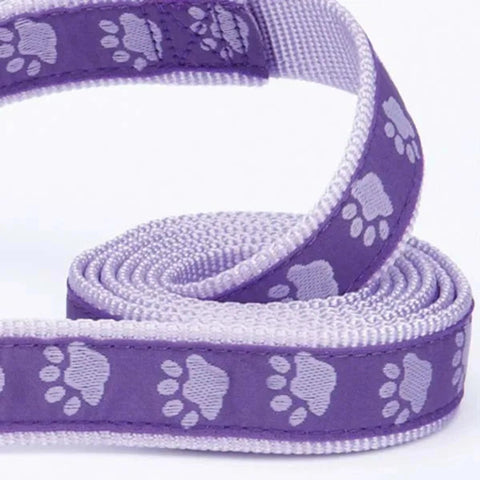 Two-Tone Paw Print Collar For Puppies or Small Dogs