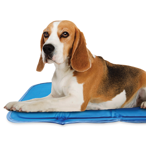 Cooling Pet Pad For Cats and Dogs- Small to Large Pets