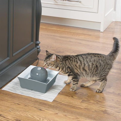 PetSafe Drinkwell Seascape Pet Fountain, elegant water fountain providing continuous fresh water for pets