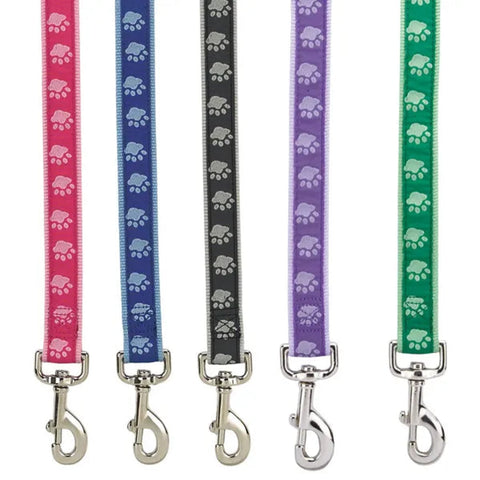 Two-Tone Paw Print Collar For Small Dogs